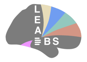Lead-DBS