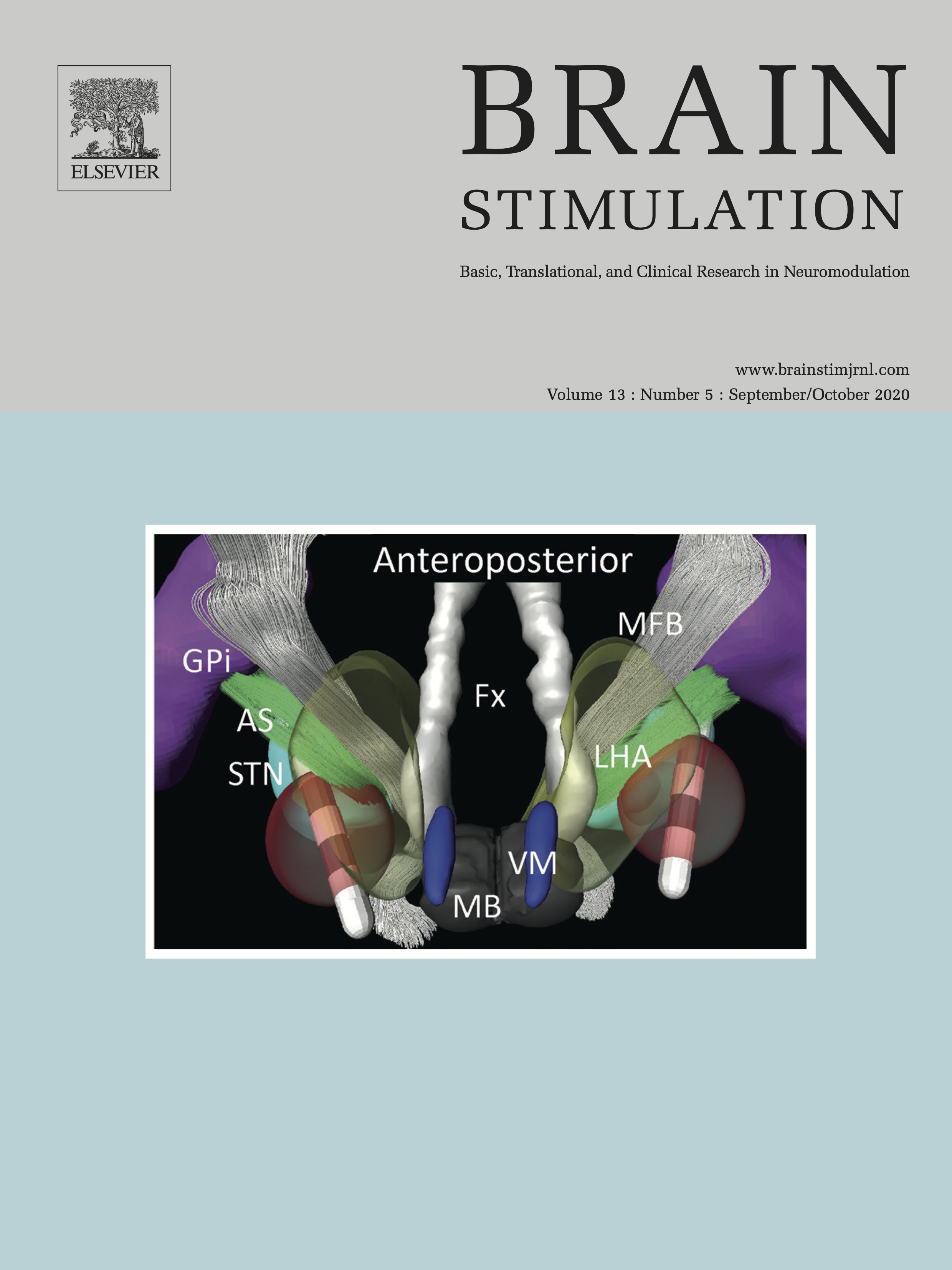 Brain Stimulation cover associated with SWAN histological data